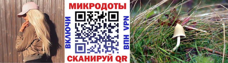 Галлюциногенные грибы GOLDEN TEACHER  Чистополь 